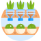 vertical-garden
